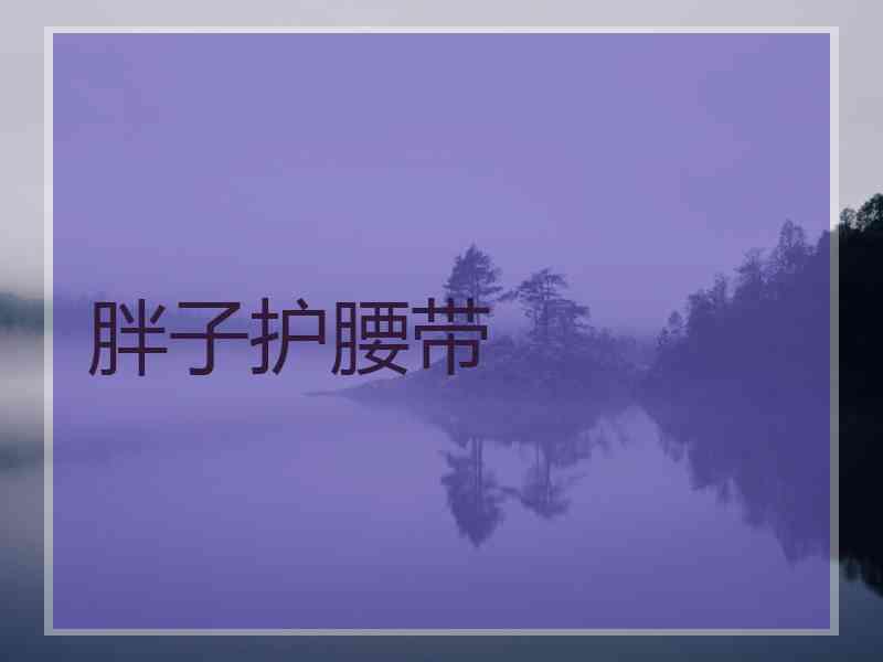 胖子护腰带
