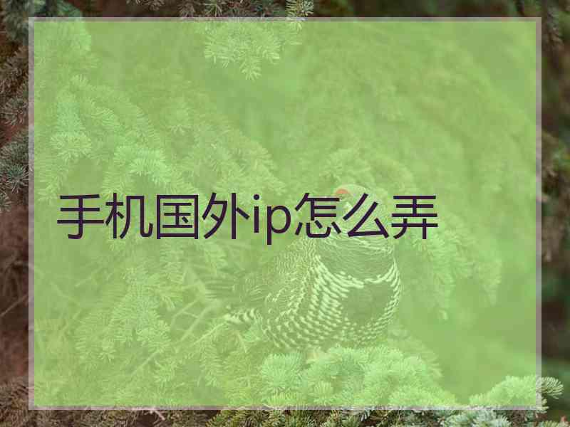 手机国外ip怎么弄