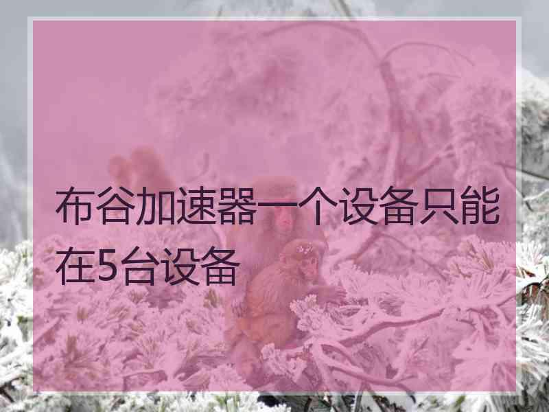 布谷加速器一个设备只能在5台设备