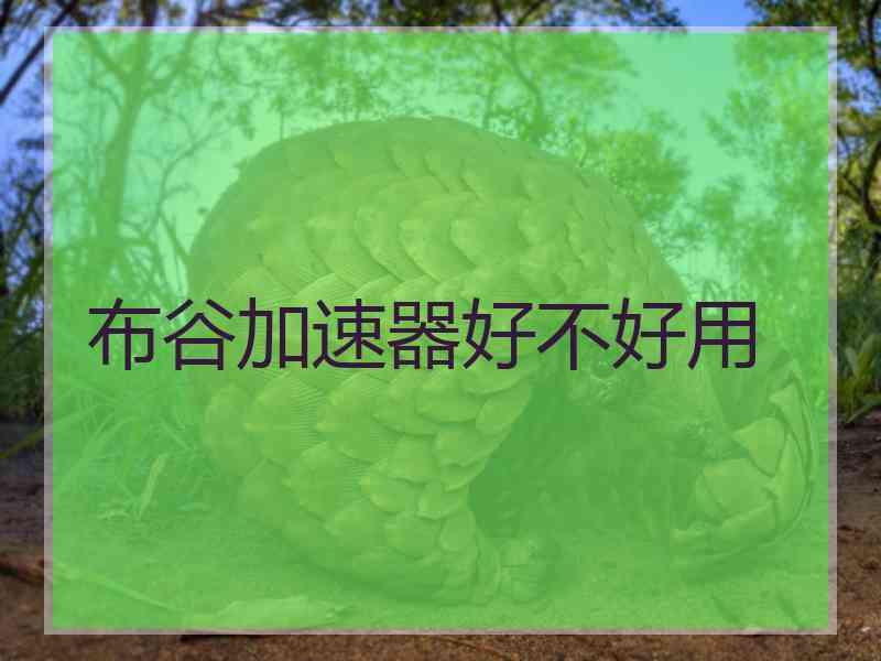 布谷加速器好不好用