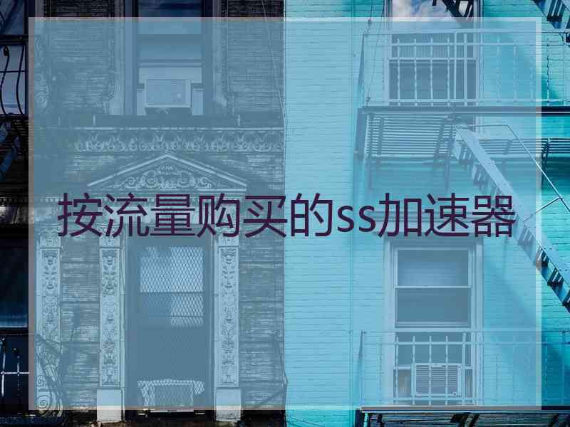 按流量购买的ss加速器