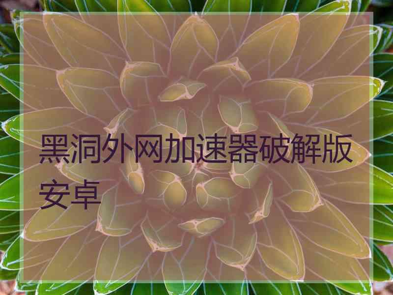 黑洞外网加速器破解版安卓
