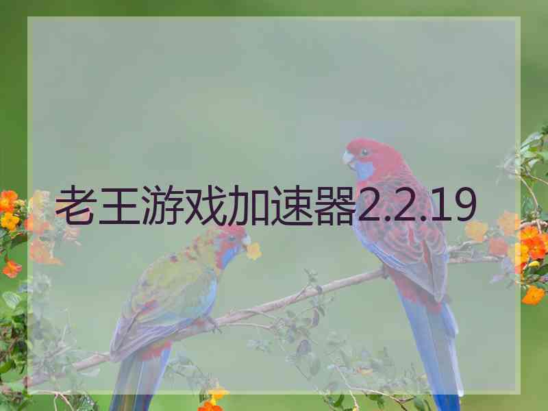 老王游戏加速器2.2.19
