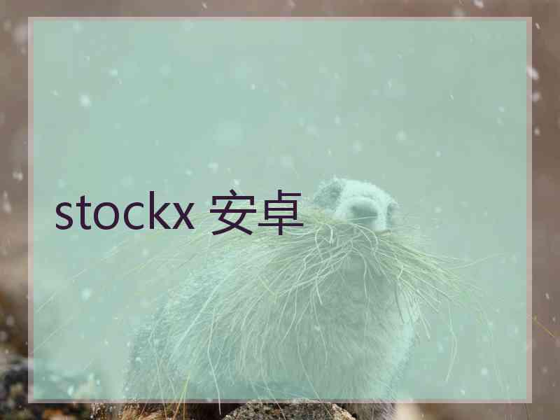 stockx 安卓