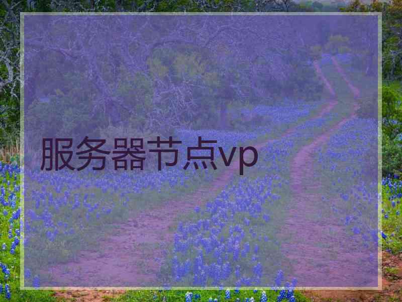 服务器节点vp