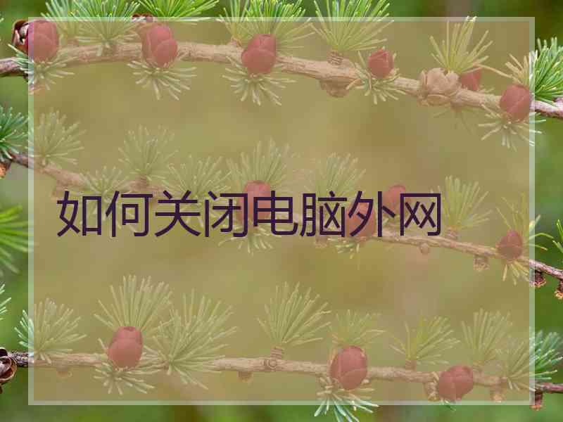 如何关闭电脑外网