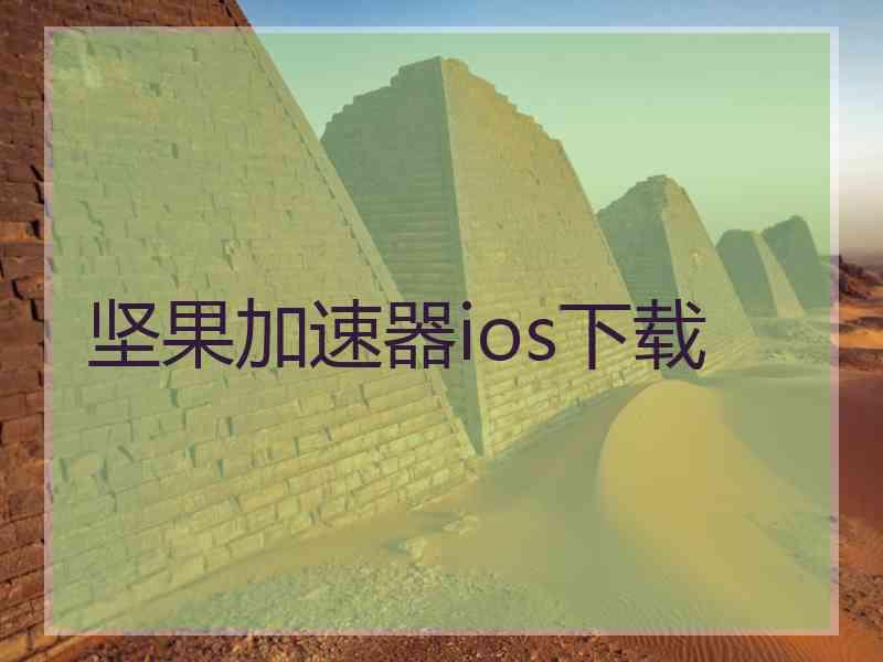 坚果加速器ios下载