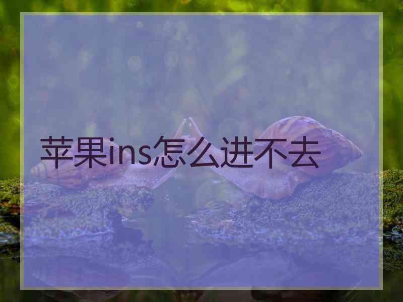 苹果ins怎么进不去